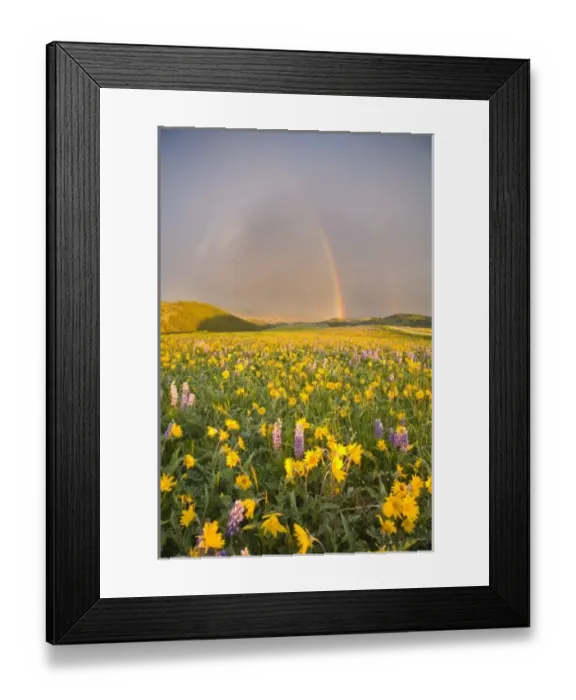 Framed Print : USA, North America, Wyoming Framed Print : USA, North America, Wyoming
