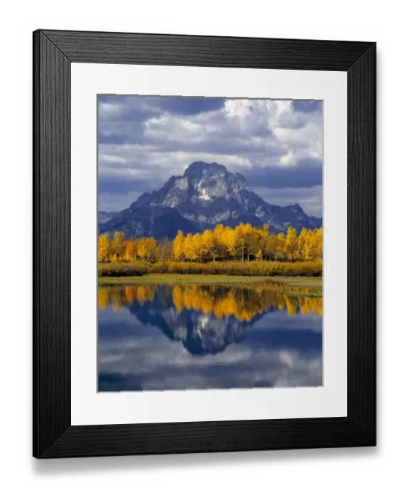 Framed Print : USA, Wyoming, Grand Teton NP. Against the blue-gray peaks of the Tetons, glowing