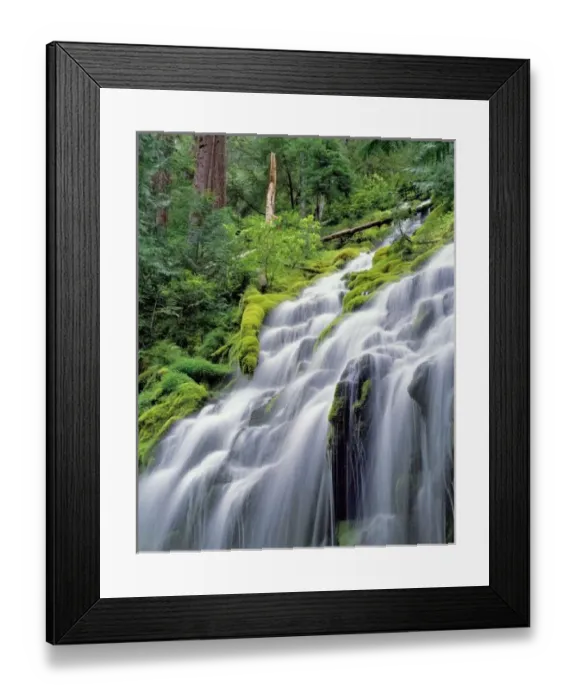 Framed Print : USA, Oregon, Proxy Framed Print : USA, Oregon, Proxy
