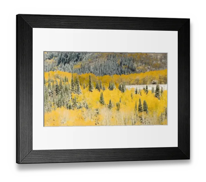 Framed Print : USA, North America, Wyoming Framed Print : USA, North America, Wyoming
