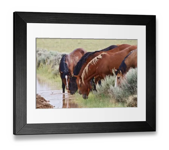 Framed Print : USA, North America, Wyoming Framed Print : USA, North America, Wyoming