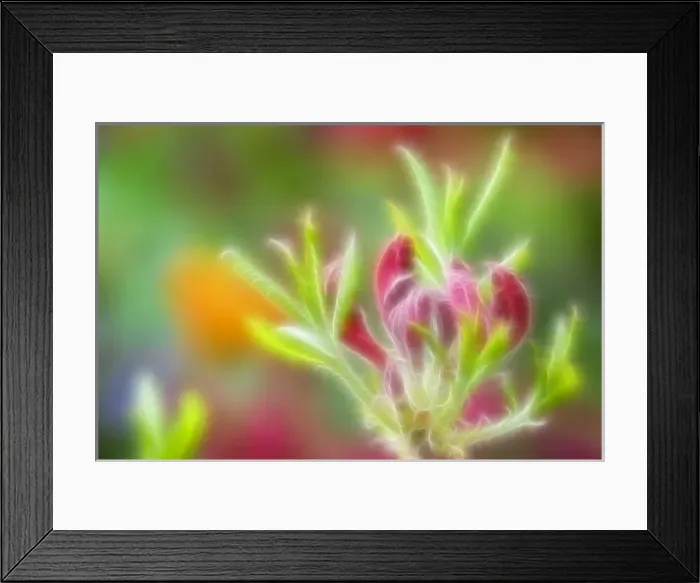 Framed Print : Abstract, Backgrounds