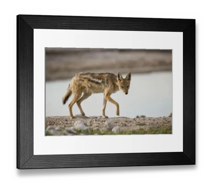 Framed Print : Africa, Botswana