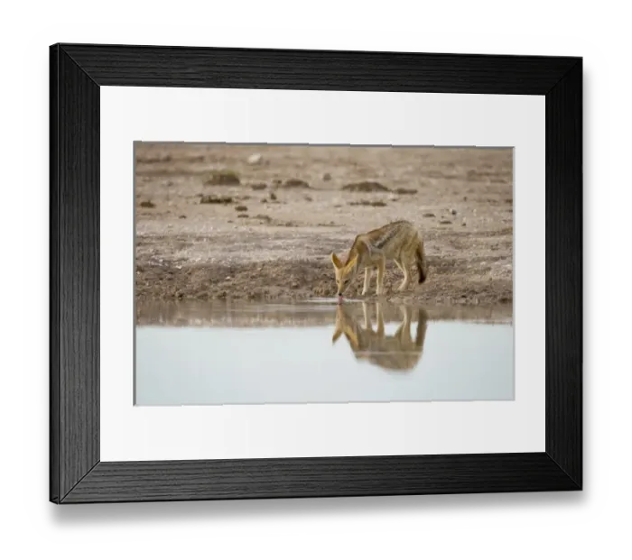 Framed Print : Africa, Botswana Framed Print : Africa, Botswana