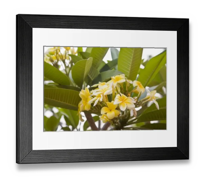 Framed Print : Africa, Benin