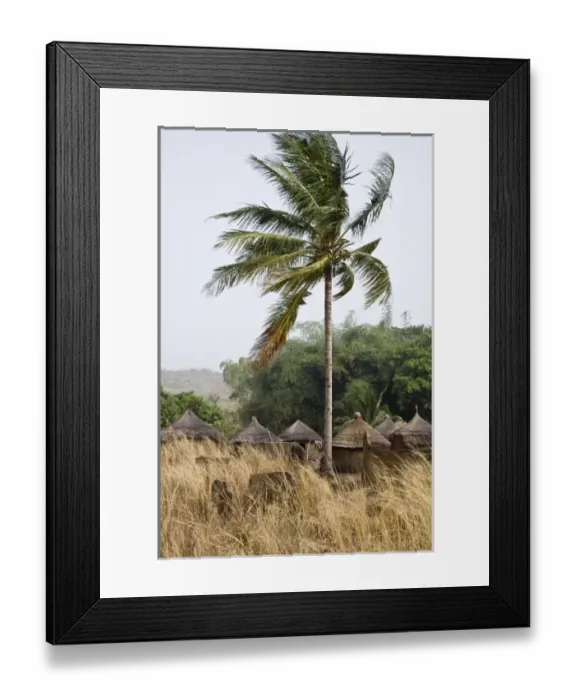 Framed Print : Africa, Benin Framed Print : Africa, Benin