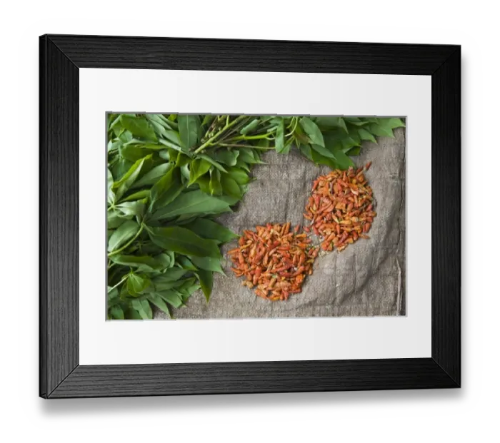 Framed Print : Africa, Benin Framed Print : Africa, Benin