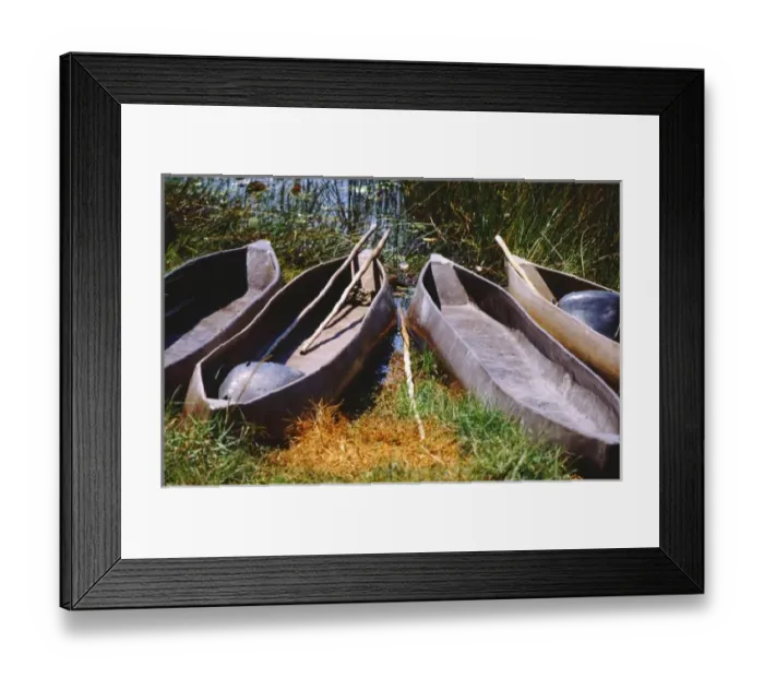 Framed Print : Africa, Botswana