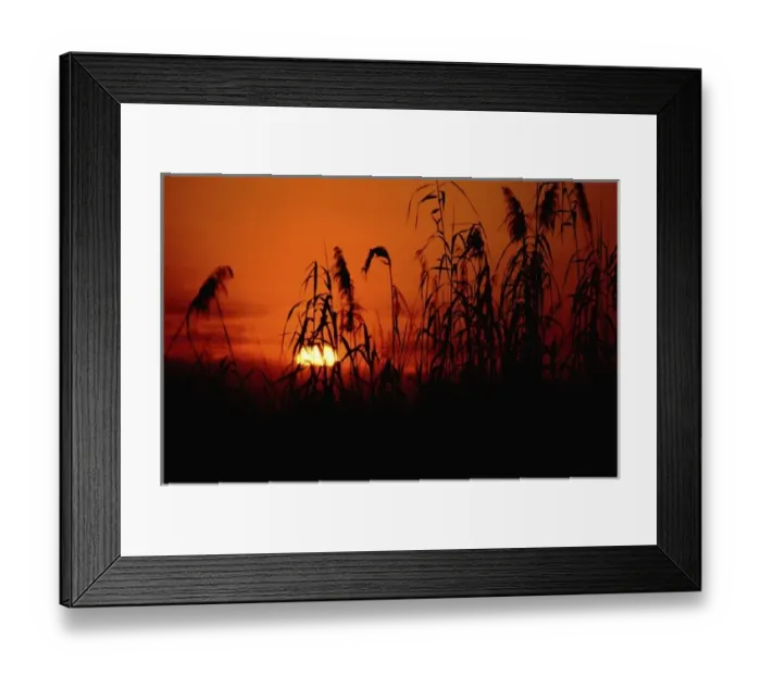 Framed Print : Africa, Botswana, Okavango Delta. Delta sunset in wetland habitat