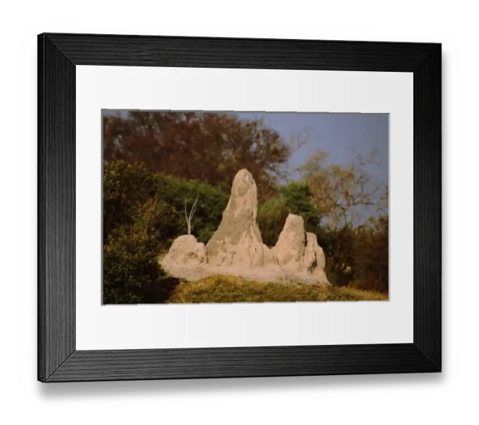 Framed Print : Africa, Botswana Framed Print : Africa, Botswana
