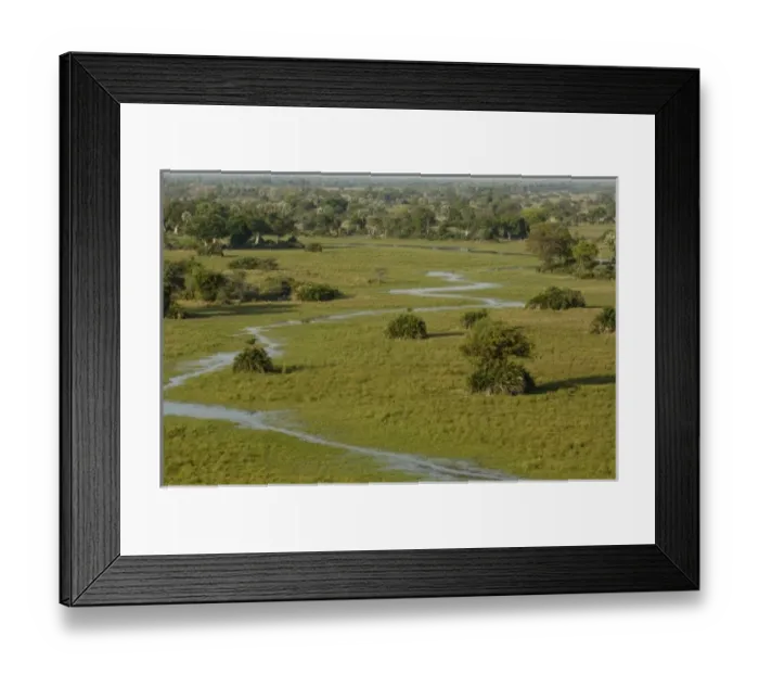 Framed Print : Africa, Botswana Framed Print : Africa, Botswana