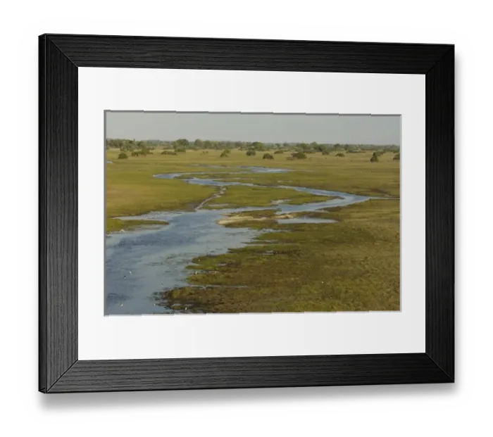 Framed Print : Seasonal flood moving through the floodplain. Okavango Delta, BOTSWANA. Southern Africa Framed Print : Seasonal flood moving through the floodplain. Okavango Delta, BOTSWANA. Southern Africa