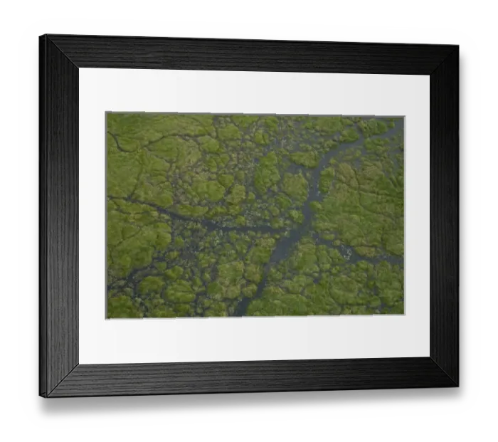 Framed Print : Papyrus swamps & channels. Okavango Delta, BOTSWANA. Southern Africa Framed Print : Papyrus swamps & channels. Okavango Delta, BOTSWANA. Southern Africa