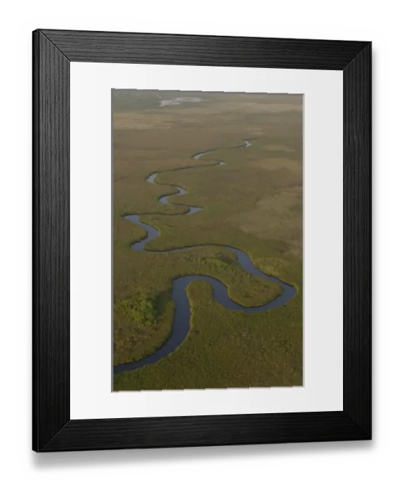 Framed Print : Papyrus swamps & channel. Okavango Delta, BOTSWANA. Southern Africa Framed Print : Papyrus swamps & channel. Okavango Delta, BOTSWANA. Southern Africa