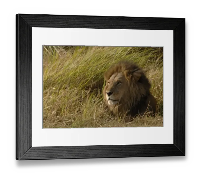 Framed Print : Africa, Botswana Framed Print : Africa, Botswana