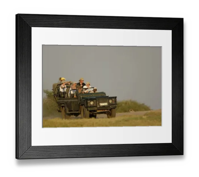 Framed Print : Tourists watching lions. Okavango Delta. BOTSWANA. Southern Africa Framed Print : Tourists watching lions. Okavango Delta. BOTSWANA. Southern Africa
