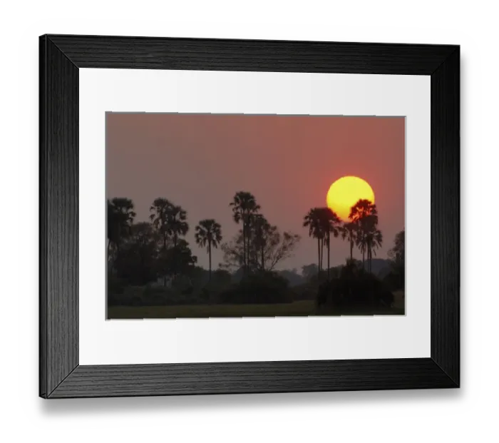 Framed Print : Sunset over the Delta, Okavango Delta. BOTSWANA. Southern Africa Framed Print : Sunset over the Delta, Okavango Delta. BOTSWANA. Southern Africa