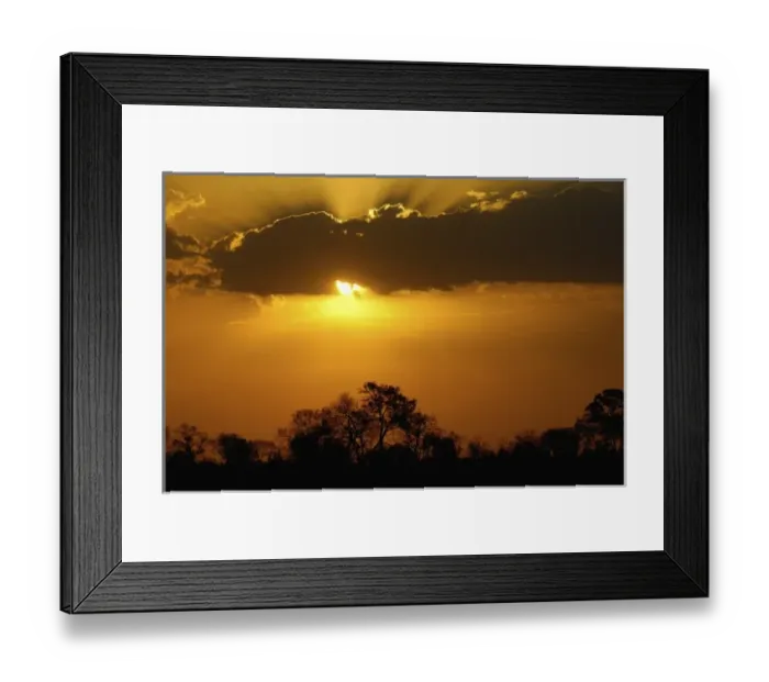 Framed Print : Sunset over the Delta. Okavango Delta. BOTSWANA. Southern Africa