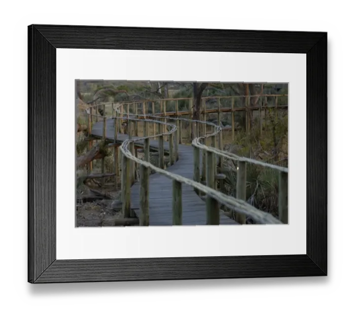 Framed Print : Walkway between tents in Mombo Camp. Mombo Camp. Chiefs Island. Okavango Delta