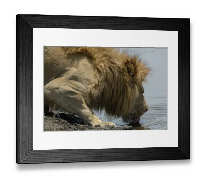 Framed Print : Africa, Botswana