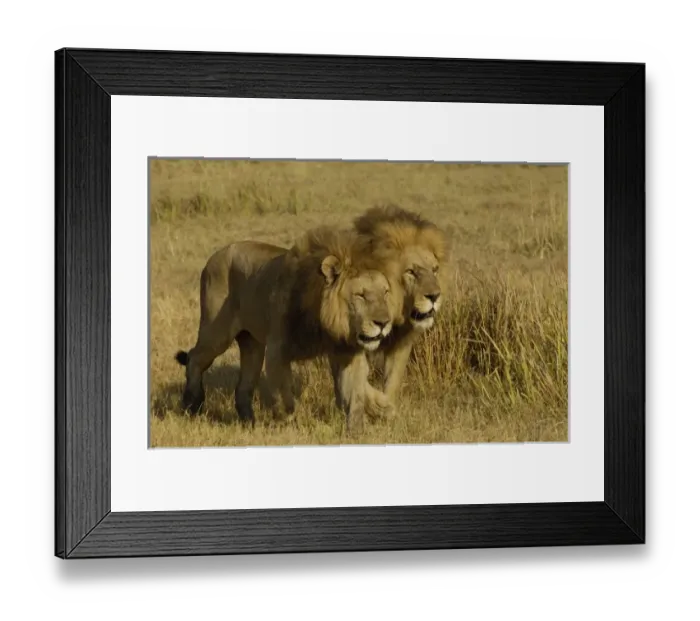 Framed Print : Africa, Botswana Framed Print : Africa, Botswana