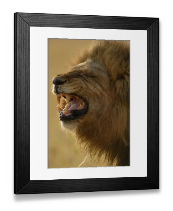 Framed Print : Africa, Botswana Framed Print : Africa, Botswana
