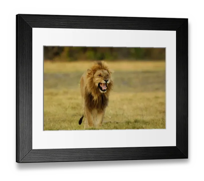 Framed Print : Africa, Botswana Framed Print : Africa, Botswana