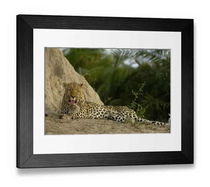 Framed Print : Africa, Botswana Framed Print : Africa, Botswana