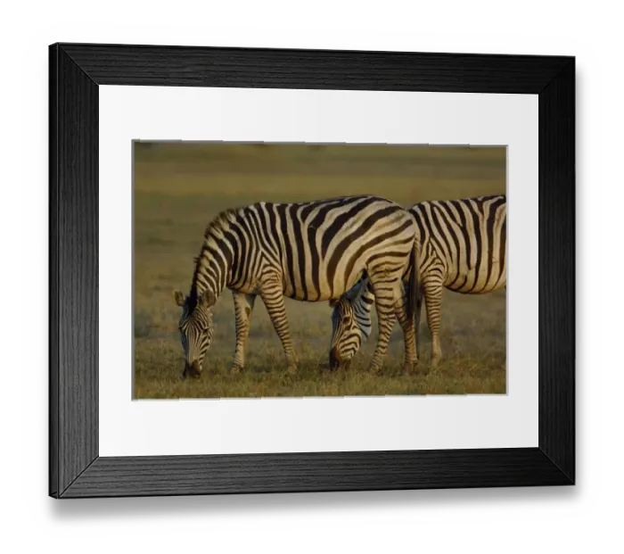 Framed Print : Africa, Botswana Framed Print : Africa, Botswana
