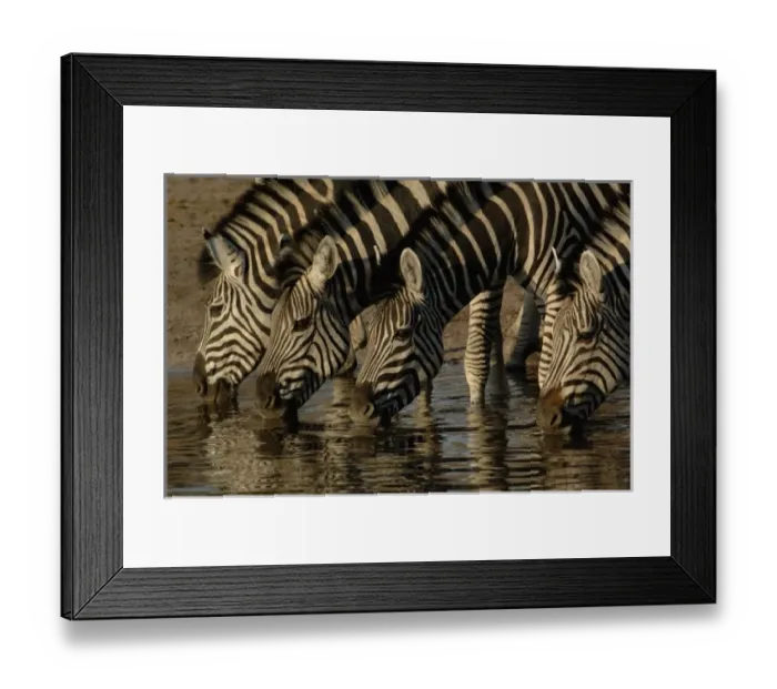 Framed Print : Africa, Botswana Framed Print : Africa, Botswana