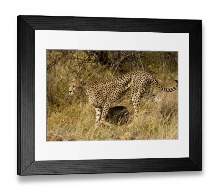 Framed Print : Africa, Kenya Framed Print : Africa, Kenya