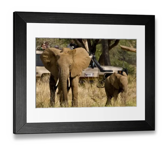 Framed Print : Africa, Kenya Framed Print : Africa, Kenya