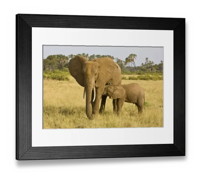 Framed Print : Africa, Kenya Framed Print : Africa, Kenya