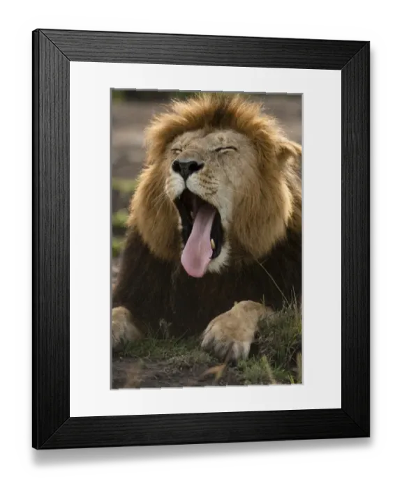 Framed Print : Africa, Kenya Framed Print : Africa, Kenya