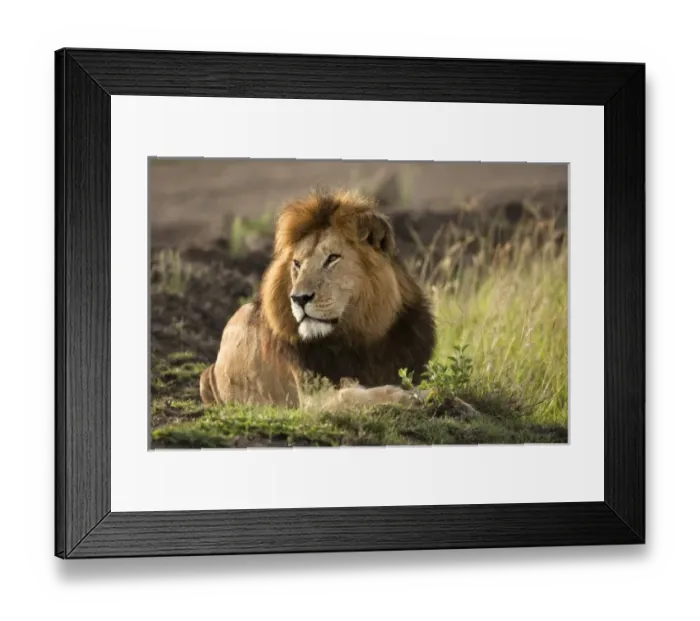 Framed Print : Africa, Kenya Framed Print : Africa, Kenya