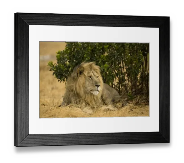 Framed Print : Africa, Kenya Framed Print : Africa, Kenya