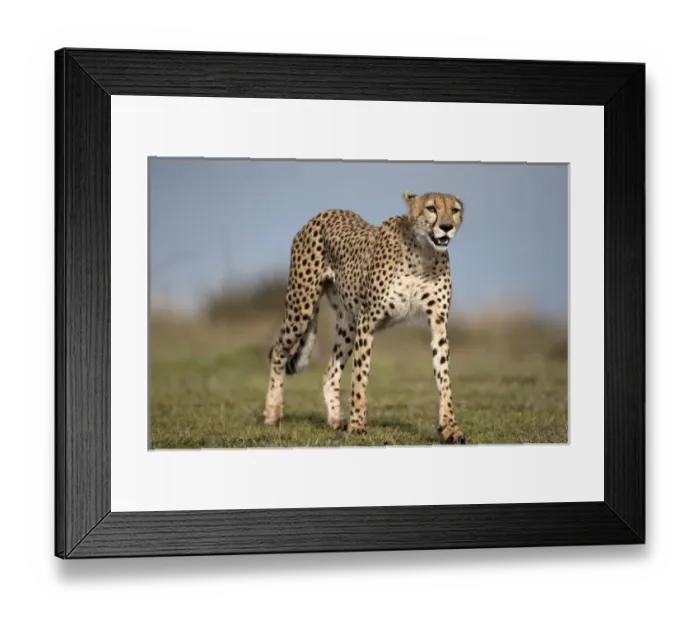 Framed Print : Africa, Kenya Framed Print : Africa, Kenya