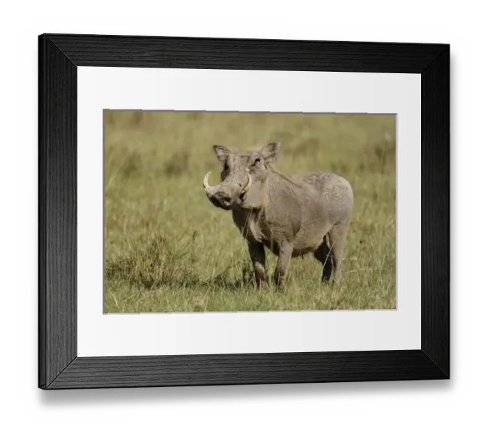 Framed Print : Africa, Kenya Framed Print : Africa, Kenya