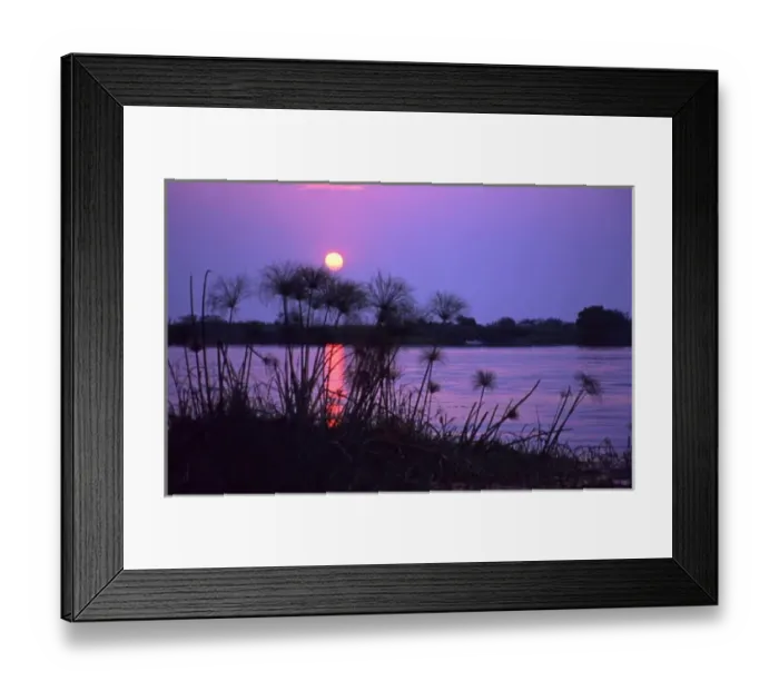 Framed Print : Kenya. Sunset reflects on water through silhouetted reeds