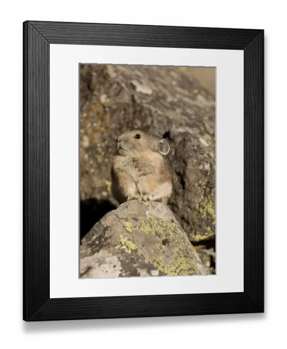 Framed Print : Africa, Kenya Framed Print : Africa, Kenya