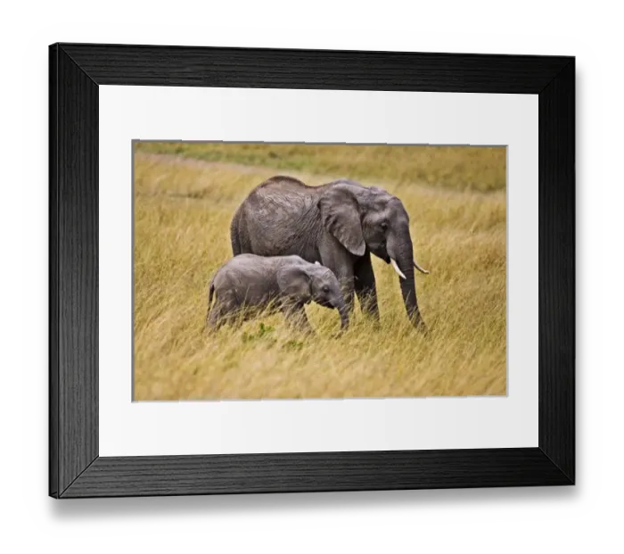 Framed Print : Africa, Kenya