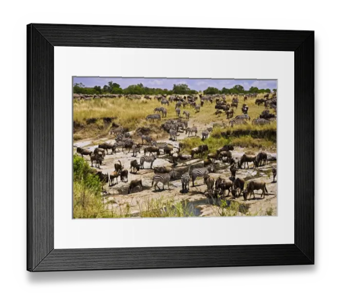 Framed Print : Africa, Kenya