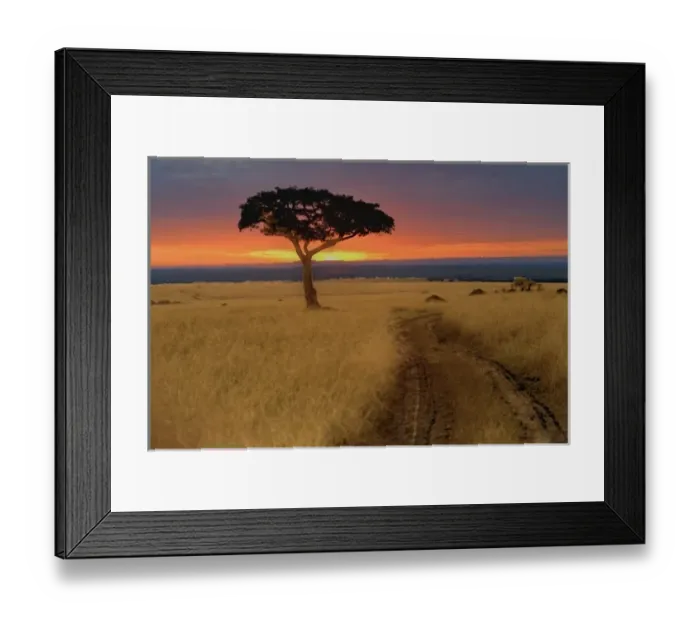 Framed Print : A amazing sunrise that caught my eye as we crossed the road with a silhouetted tree in front of it