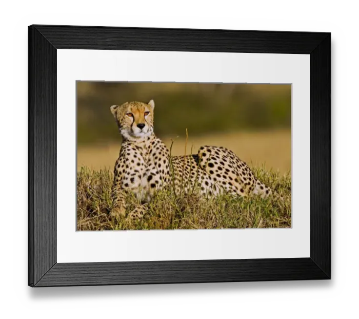Framed Print : Africa, Kenya Framed Print : Africa, Kenya