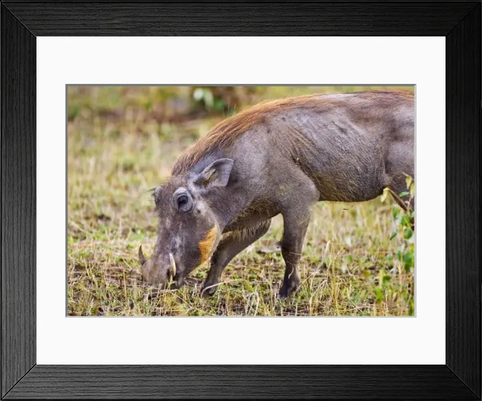 Framed Print : Africa, Kenya Framed Print : Africa, Kenya