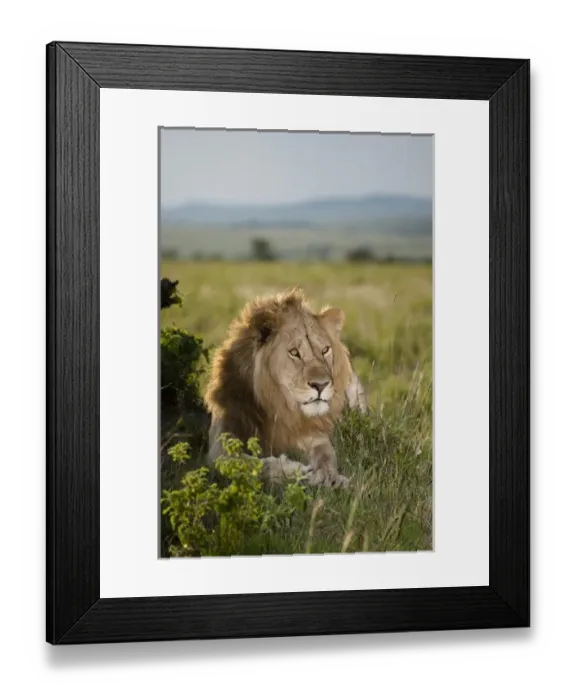 Framed Print : Africa, Kenya Framed Print : Africa, Kenya
