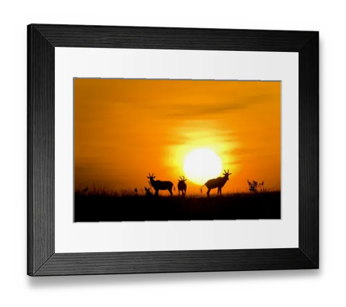 Framed Print : Africa, Kenya Framed Print : Africa, Kenya