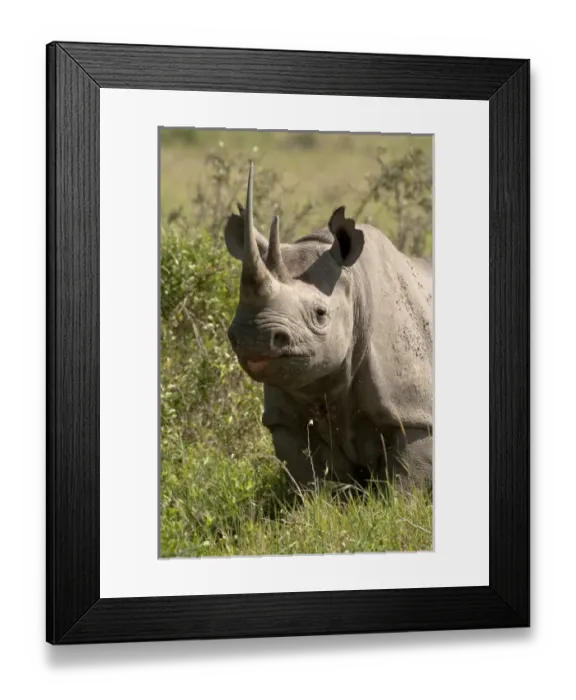 Framed Print : Africa, Kenya