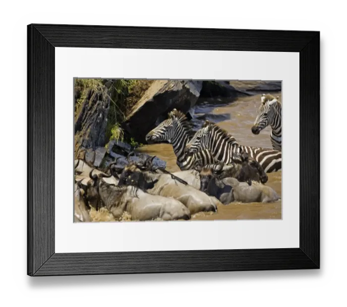 Framed Print : Africa, Kenya Framed Print : Africa, Kenya