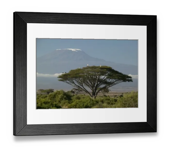 Framed Print : Mount Kilimanjaro with savanna and herds in the landscape, Ngorongoro NP, Tanzania